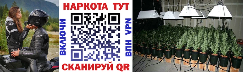 Виды наркотиков купить Сковородино Alpha PVP Героин Канабис