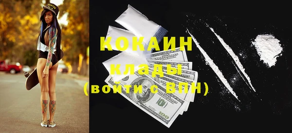 дурь Арсеньев