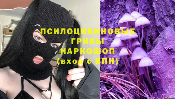 дурь Арсеньев